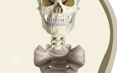 ¿Qué significa la palabra Craneosacral?