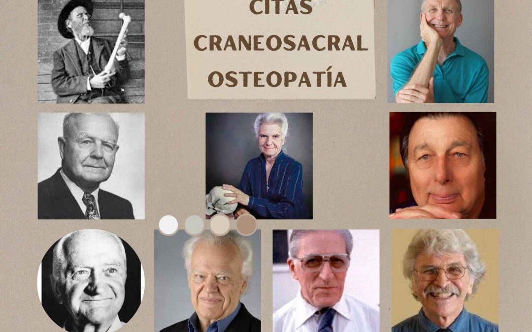Citas Terapia Biodinámica Craneosacral y Osteopatía