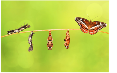 Craneosacral Transmutación y la Matriz Original