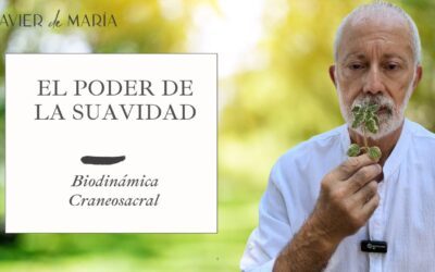 El poder de la suavidad: Cómo liberar lo que duele sin forzar tu cuerpo